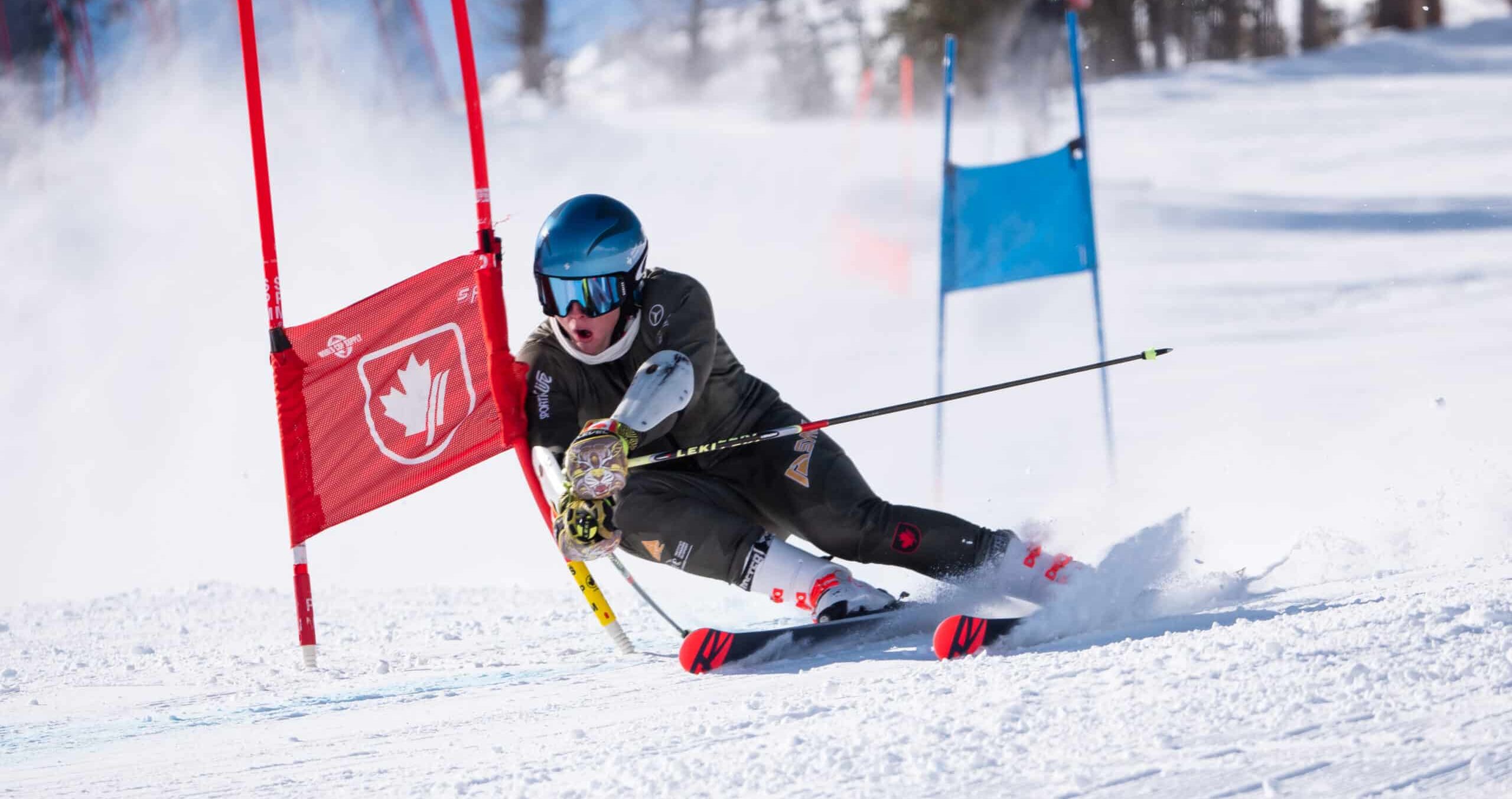 SYNC Performance Store -SYNC Performance Store 3